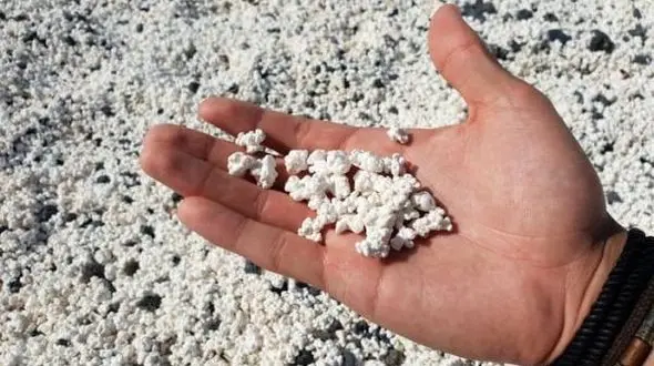 هیجان انگیز ترین جزیره پاپ کورن/ماسه هایی به شکل پاپ کورن خوراکی+ عکس