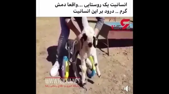 انسانیت عجیب یک جوان روستایی+ فیلم