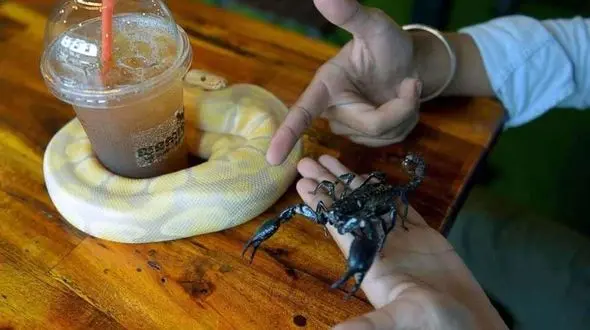 ترسناکترین نوشیدنی جهان+عکس