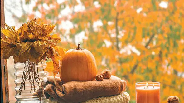 پیشگیری از بیماری در پاییز؛ راهکارهایی برای حفظ سلامتی در پاییز