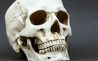Human Skull on Mantelpiece Identified as Man Missing For 8 Years