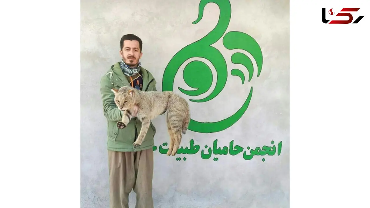 قتل محمد کریمی در صحنه درگیری 2 خانواده / برای وساطت وارد صحنه شده بود + عکس