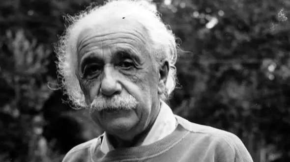 افشای رفتار نژادپرستانه انیشتین پس صد از سال +عکس