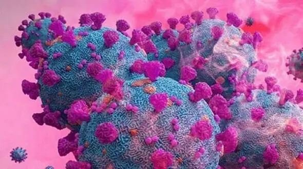 احتمالا آمریکا مبدا ویروس کرونا است / چینی ها مدعی شدند 
