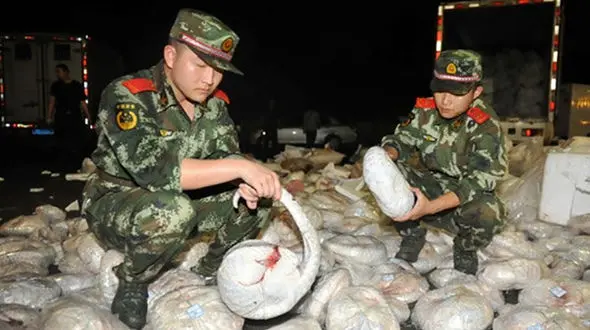 کشف یک محموله عجیب و بزرگ + جزییات