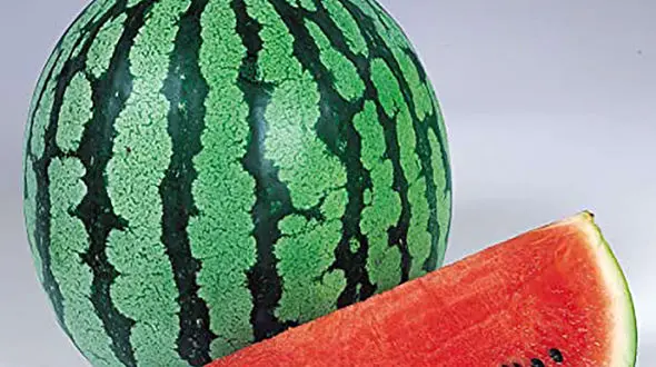 نکات مهم در نگهداری بهتر هندوانه