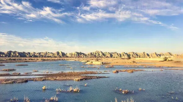 وضعیت تالاب هامون نیازمند پیگیری همه‌جانبه و در سطح کلان است 