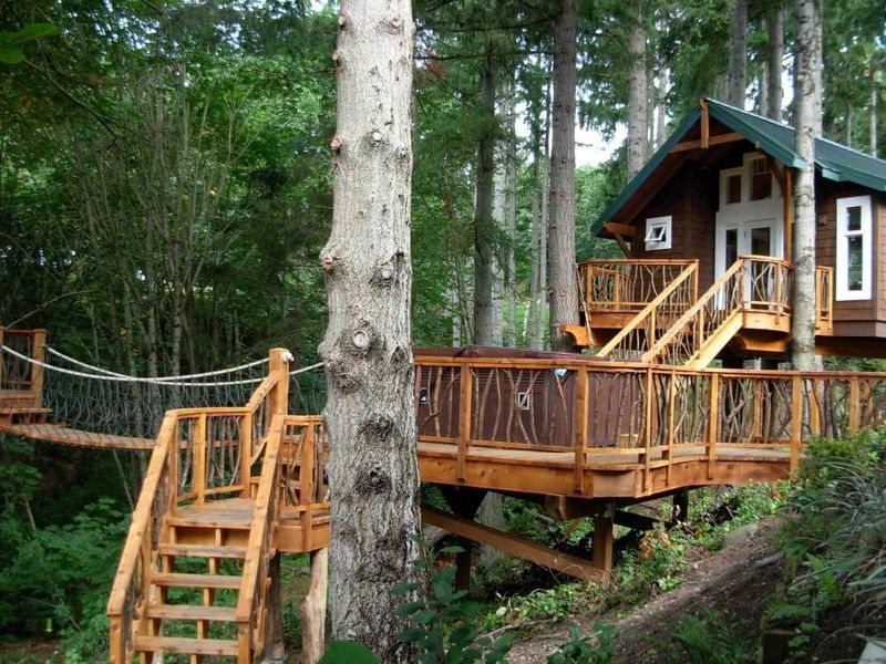 amazing-tree-house-designs-15 - Copy