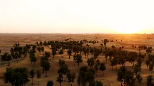 ریلکس کنید / نماهنگ بی کلام آرامش بخش + فیلم