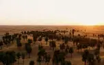 ریلکس کنید / نماهنگ بی کلام آرامش بخش + فیلم
