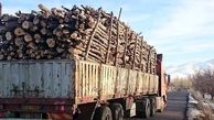 ۱۸ تن چوب بلوط قاچاق در سلسله کشف شد