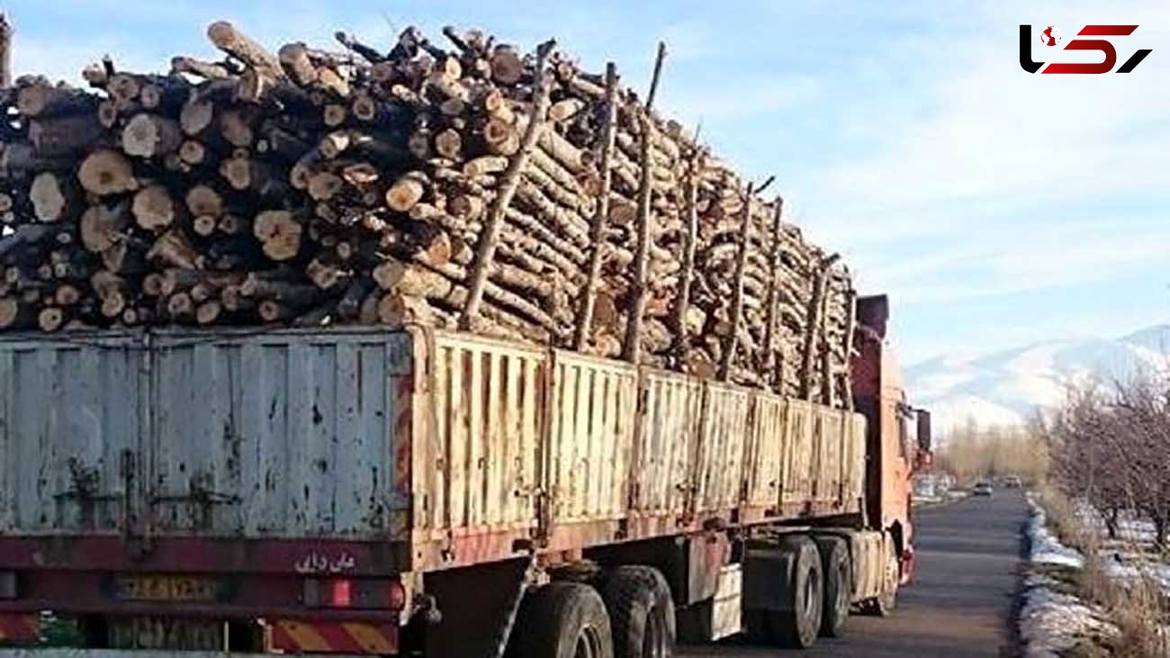 کشف ۵ تن چوب قاچاق در خرم‌آباد