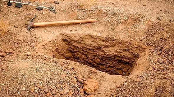 سلطان قبر در تهران دستگیر شد