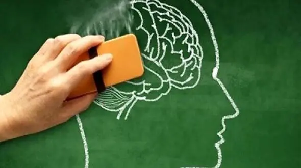 این خوردنی ها حافظه تان را قوی می کند !