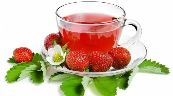 یک نسخه‌های گیاهی موثر برای دفع سنگ کلیه