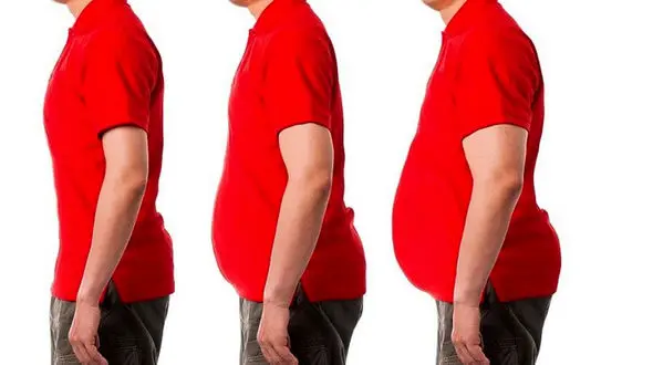 با اعداد لاغر شو!