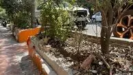 تخریب شبانه جدول‌ ها و باغچه‌ های خیابان شیخ سنایی تهران؛ کسبه از «پاتوق‌زدایی» می‌گویند!