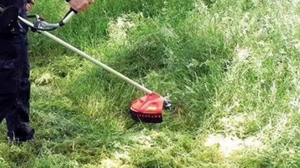 این فیلم را نبینید / مجازات وحشیانه یک دزد با ماشین چمن زنی 