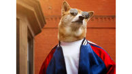 خوش تیپ ترین سگ دنیا با ۳۵۵۰۰۰ فالوور +تصاویر