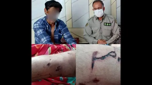 حمله خرس سیاه به مرد رودانی / روز گذشته رخ داد+ عکس