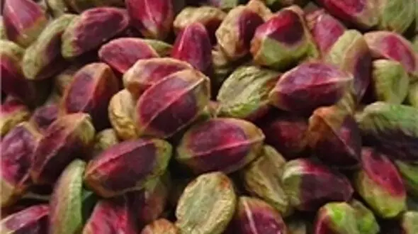 بورس پسته از آمرزو آغاز به کار کرد
