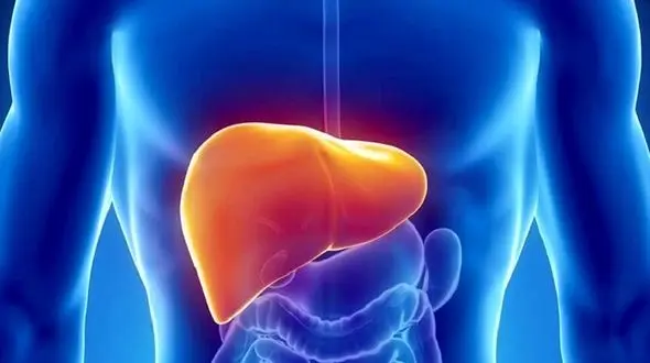  پاکسازی کبد با ساده ترین روش ها