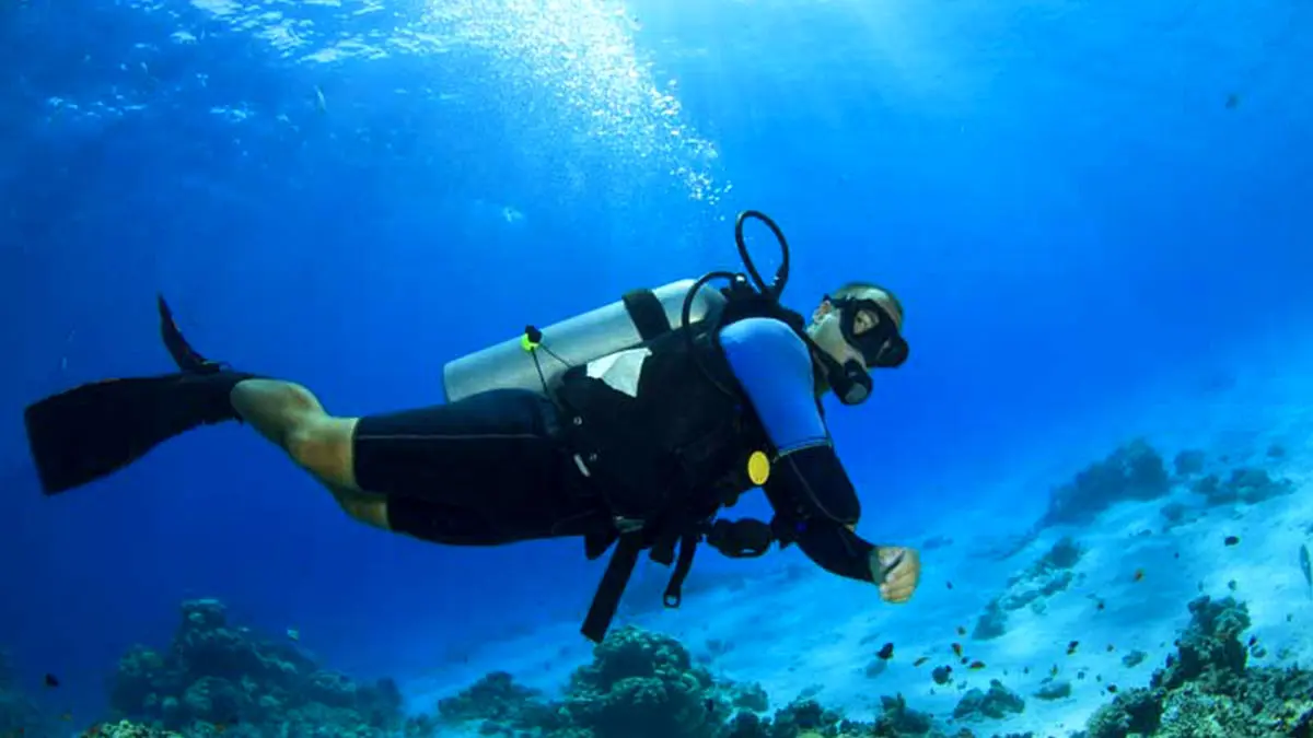 عملیات نجات؛ خارج کردن قلاب از دهان کوسه