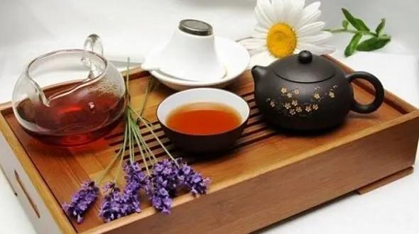 چای های گیاهی بهترین مسکن اعصاب