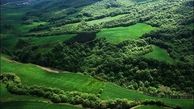  همت والای منابع طبیعی برای افزایش سطوح جنگلی