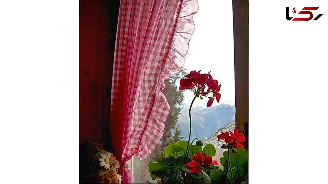 فال روزانه شخصی / 13 آبان ماه + فیلم