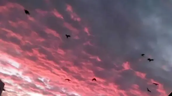 فال روزانه شخصی/ 19 مرداد ماه + فیلم