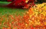 جشن آغاز پاییز؛ اول مهر چه رسم و رسومی دارد؟