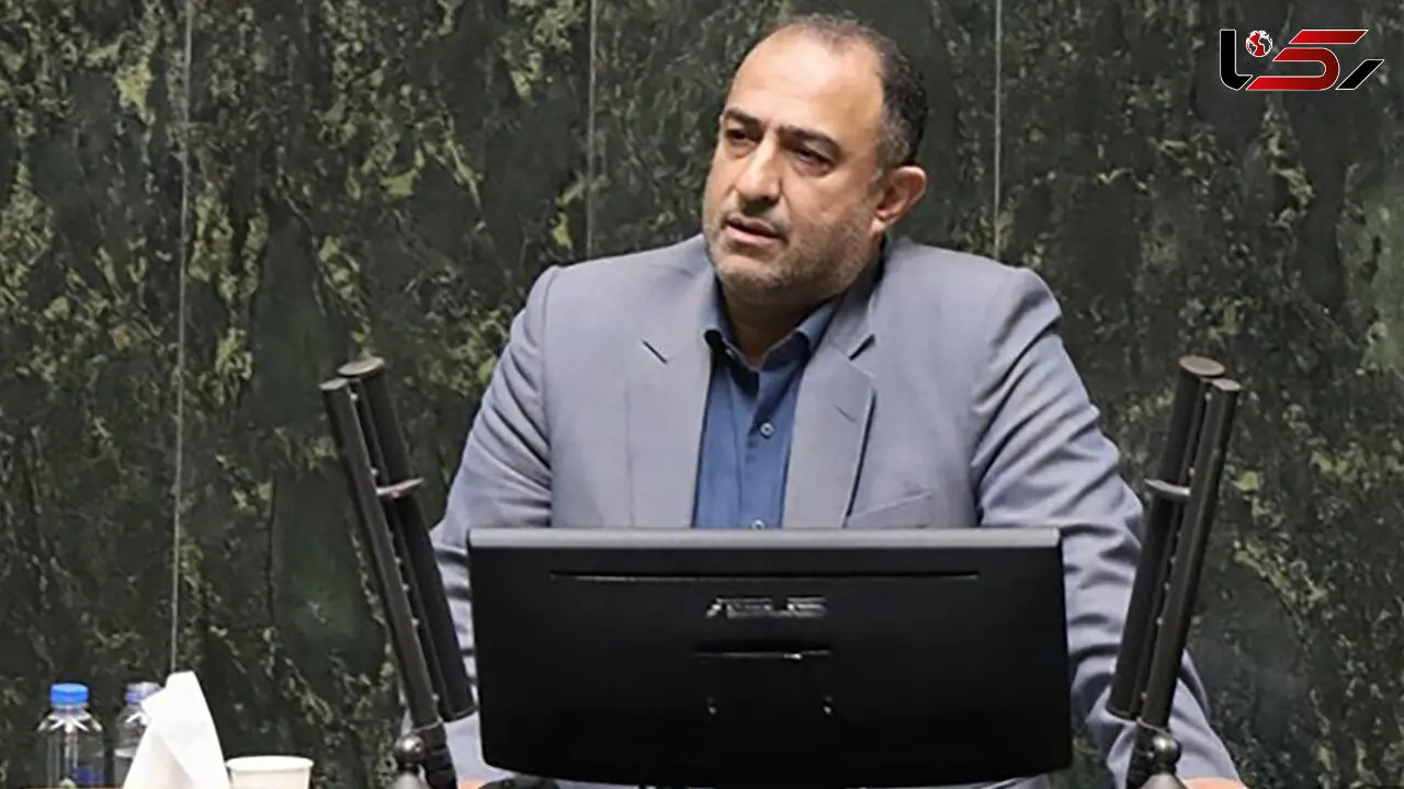 نماینده مجلس : موفقیت کالابرگ در گرو ثابت ماندن قیمت ها است /  دولت با 270 هزار فروشگاه قرارداد منعقد کرد