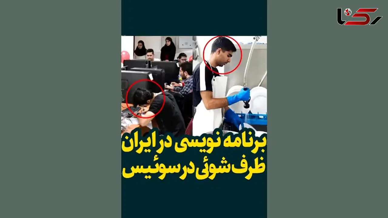 فیلم| از برنامه نویسی در ایران تا ظرفشویی در سوئیس