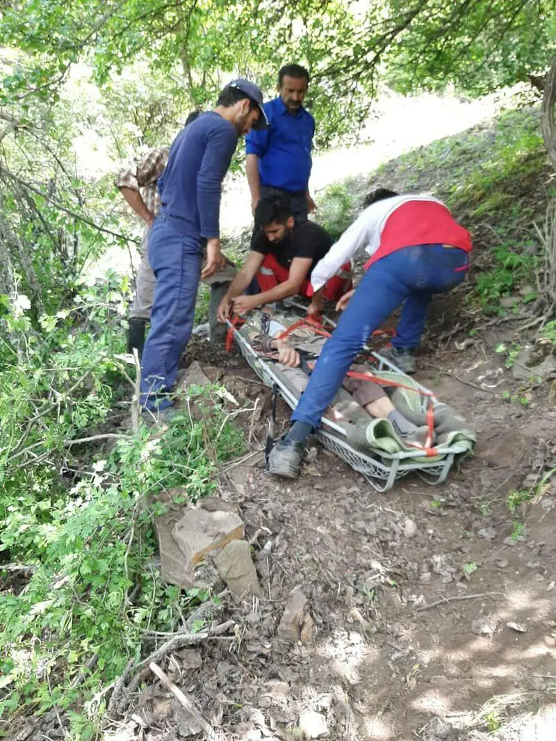 چوپان نجات یافته