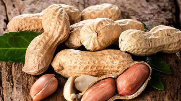 چه افرادی بادام زمینی بخورند؟