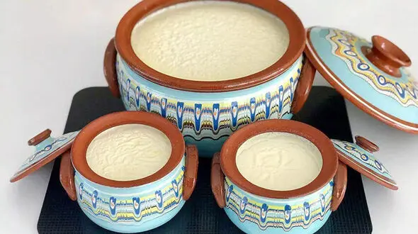 فوت‌ و فن ماست خانگی پرچرب و قالبی؛ این نکته را از دست ندهید