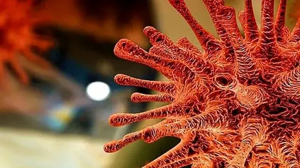  هشدار دکتر محرز :  ویروس هندی بسیار کشنده است / این استان باید قرنطینه شود