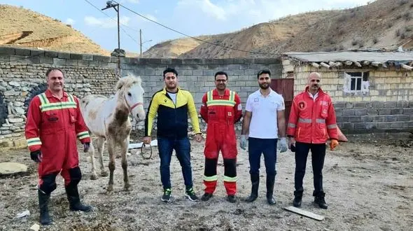 نجات اسب گرفتار در چاه / در خرم آباد رخ داد