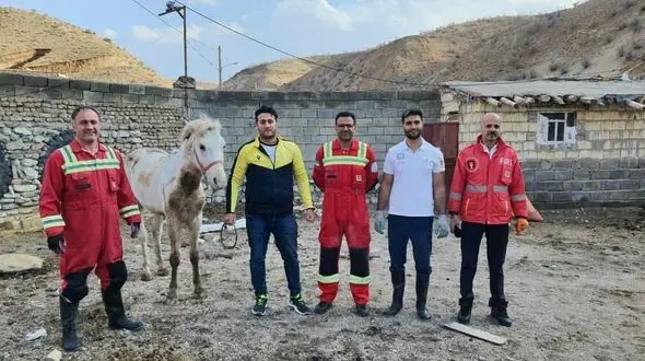 نجات اسب گرفتار در چاه / در خرم آباد رخ داد