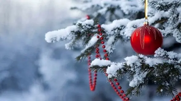 آیا محدودیت جهانی سفر در جلوگیری از شیوع کرونا بیهوده است؟  + صوت