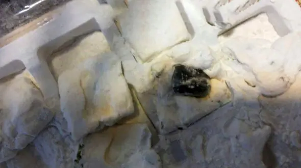 این گز ها مغز تریاک داشتند + عکس 