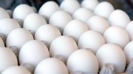 هر عدد تخم‌مرغ حدود ۳۵۰۰ تومان شد