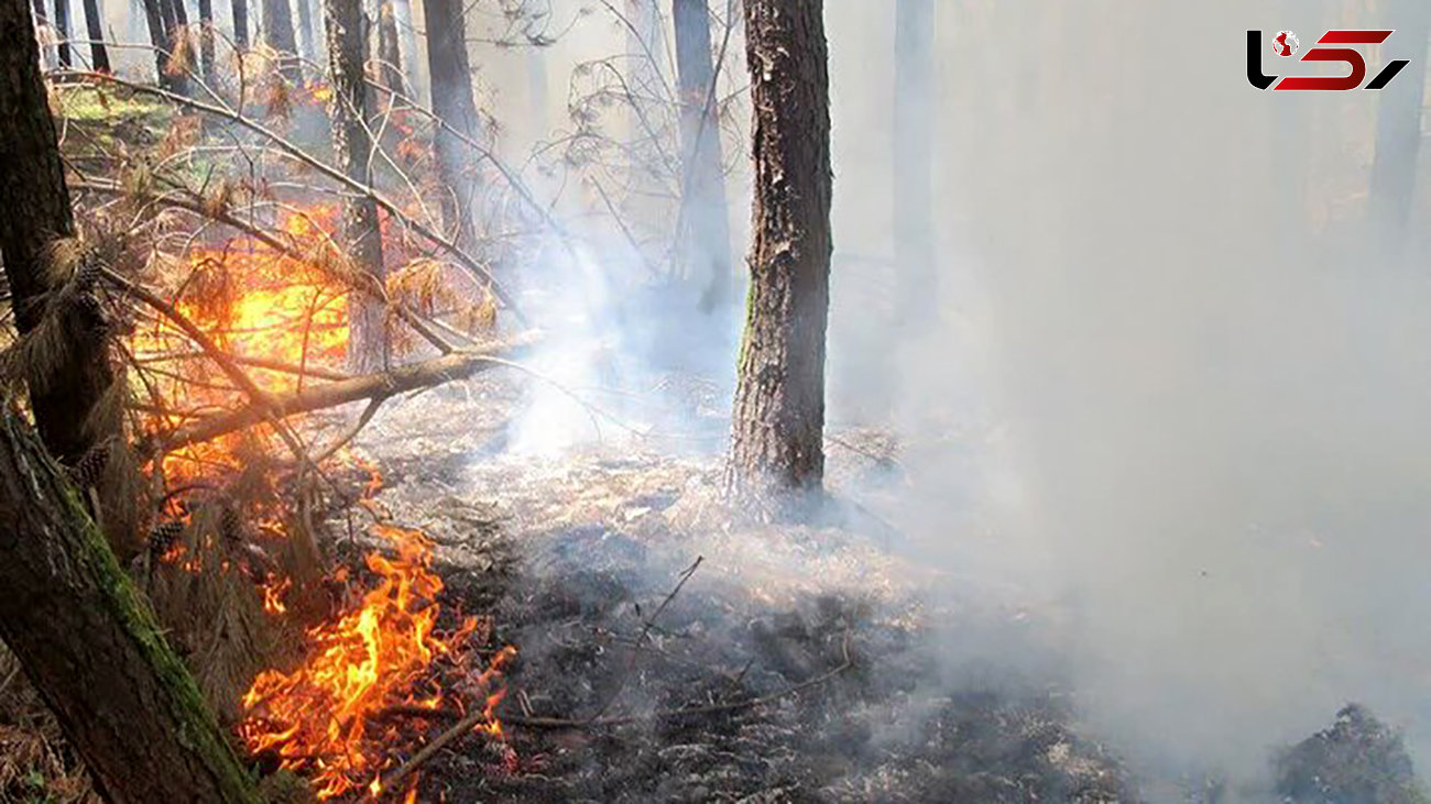 استمرار آتش سوزی‌ در جنگل‌های گالیکش/ حضور بالگرد ضرورت دارد