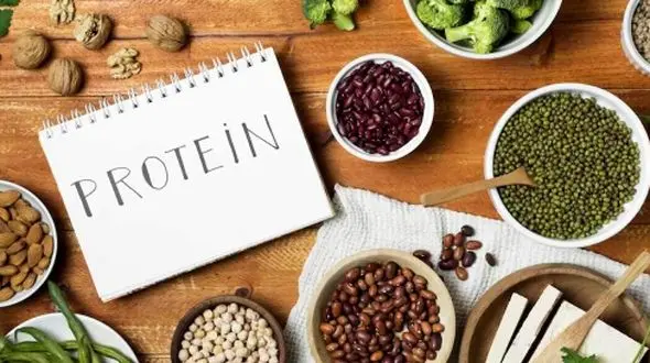 چگونه پروتئین روزانه زنان بالای 40 سال را تأمین کنیم؟