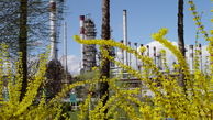 شرکت پالایش نفت اصفهان با اختصاص ۱۲۰ هکتار فضای سبز، بیش از حد استاندارد عمل کرده است.