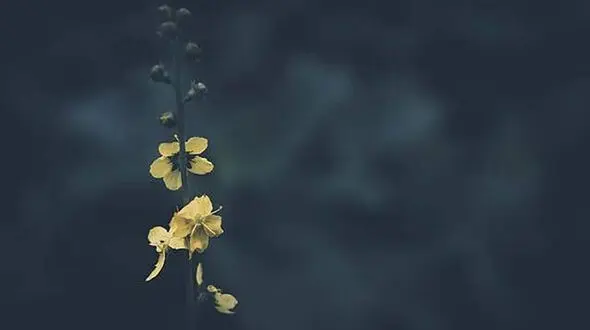 فال و طالع بینی روزانه 8 شهریور / فیلم