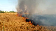 با عاملان آتش سوزی اراضی کشاورزی در اسلامشهر برخورد شد