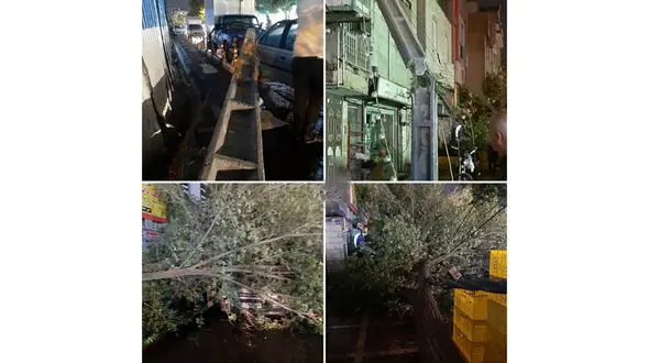 طوفان در تهران تیربرق را در خیابان فلاح شکست + عکس
