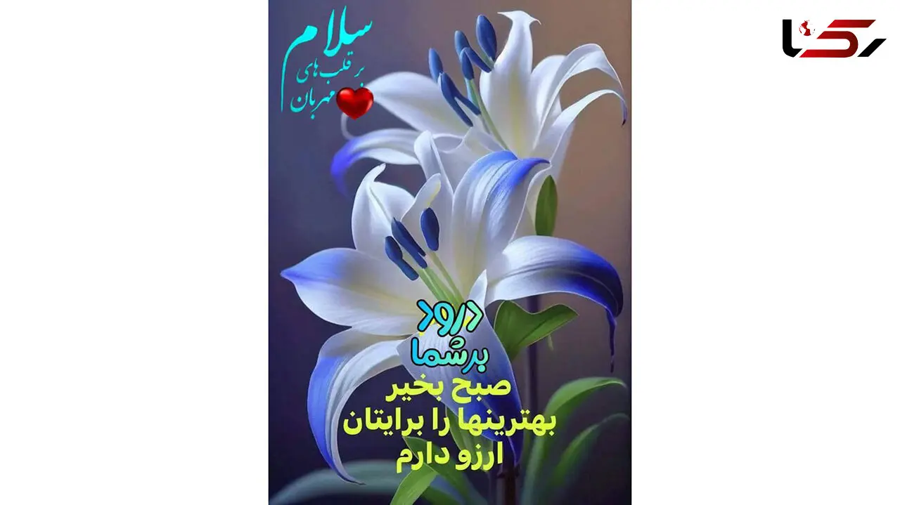 فال ابجد 12 آبان ماه + فیلم